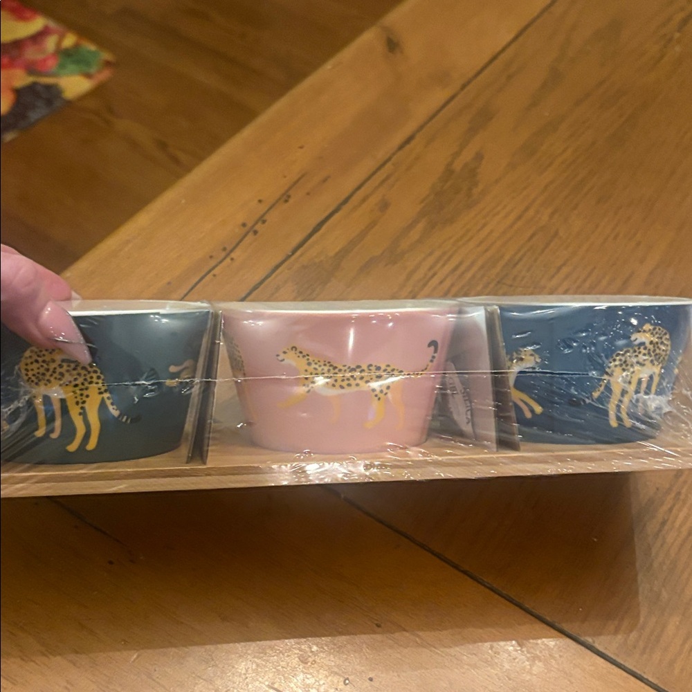 BN Set of Three Cheetah Print ceramic containers with wooden holder